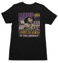 Fannie Lou Hamer – MFDP 1964