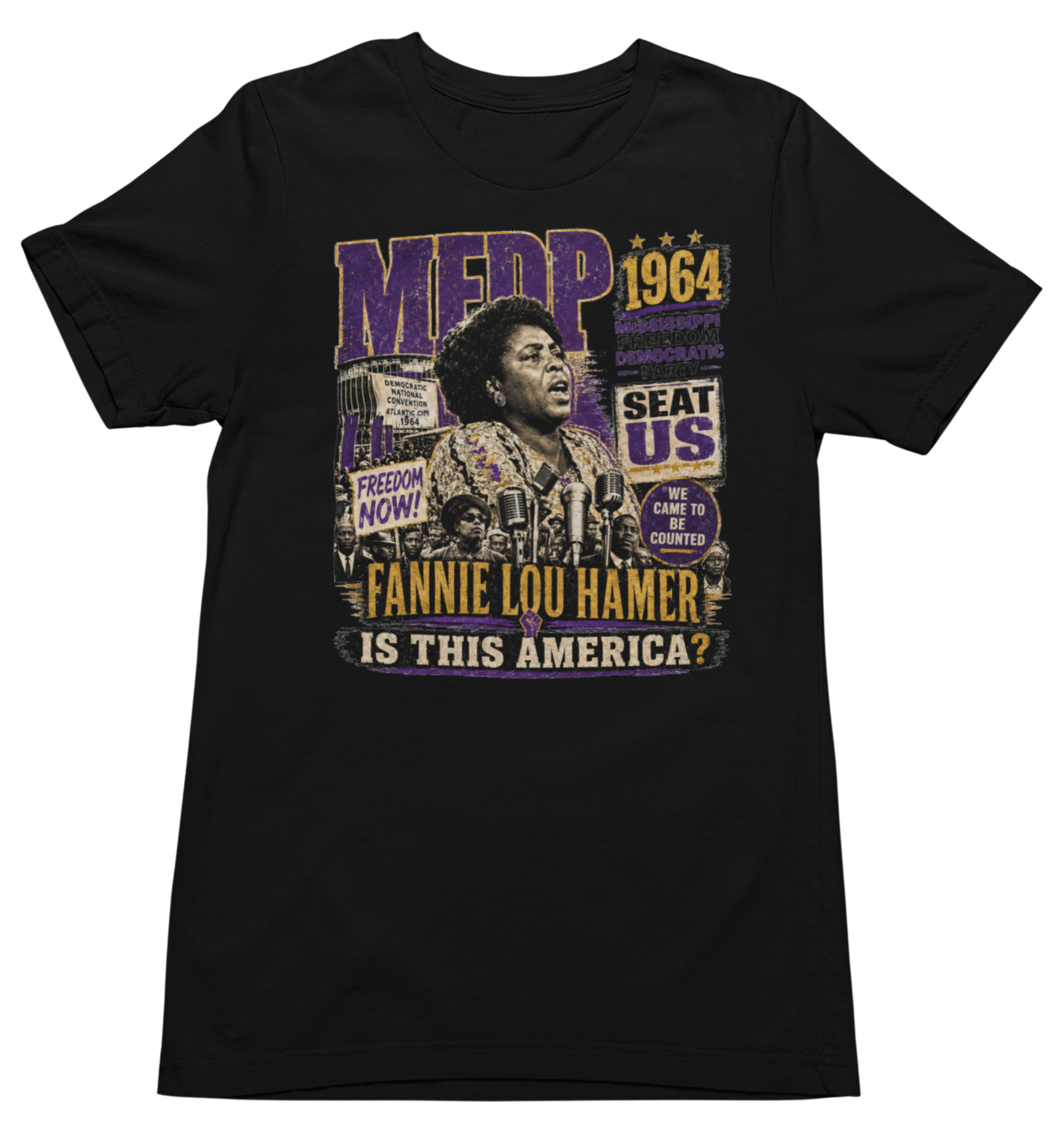 Fannie Lou Hamer – MFDP 1964